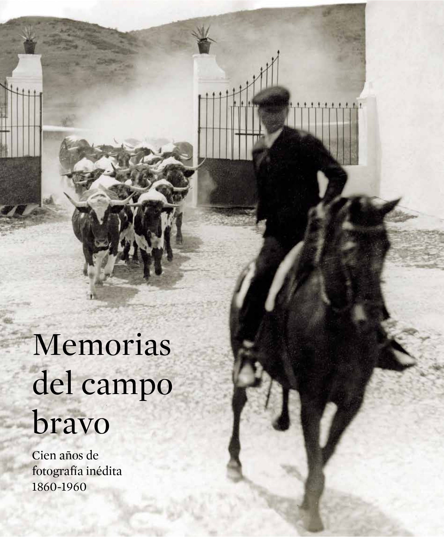 Memorias del campo bravo Vol. I